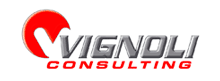 Vignoli Consulting - Soluzioni software e prodotti IT
